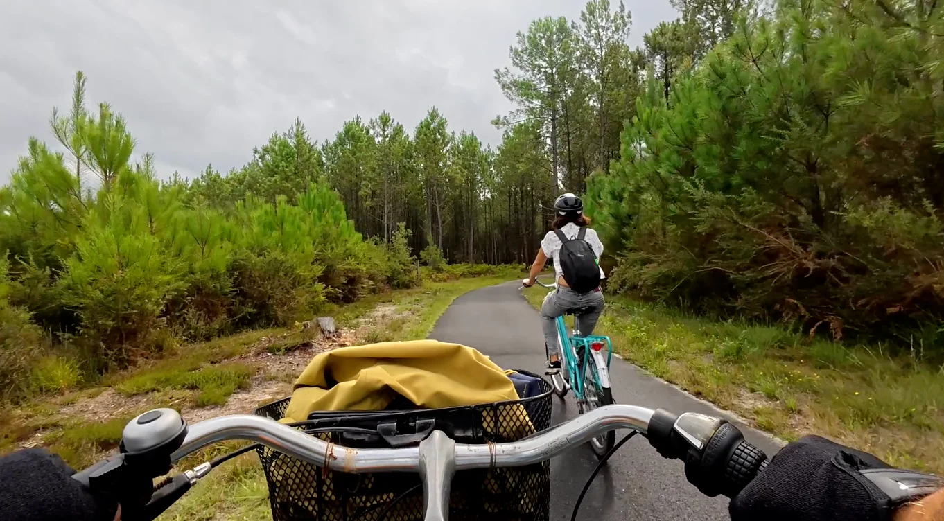 Vélo dans la forêt des Landes