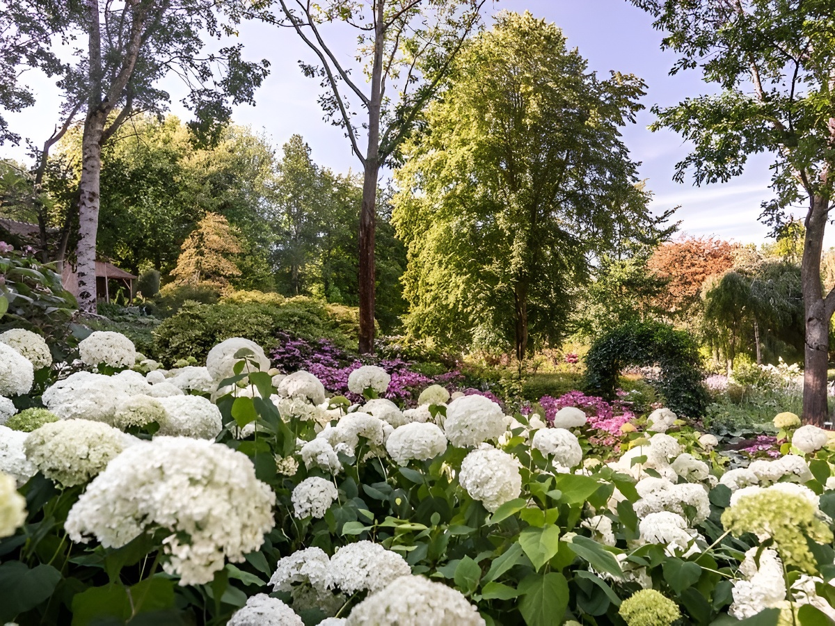 Les Jardins du Pays d'AugeLes Jardins du Pays d'Auge