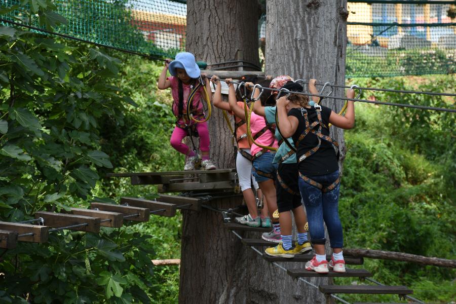 Forest AventureForest Aventure