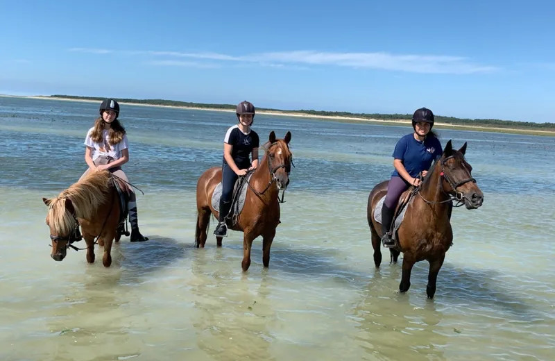 Poney-club Poney Nature