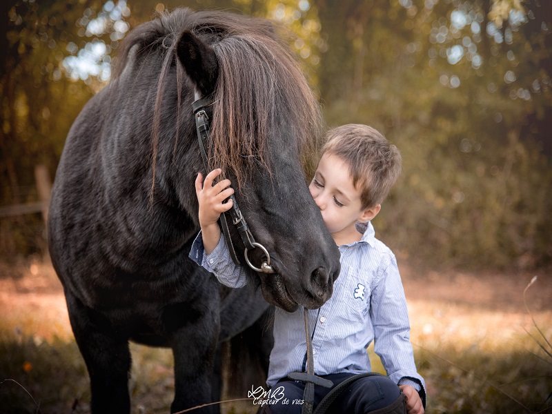 PropriétaireLe cheval emeraude