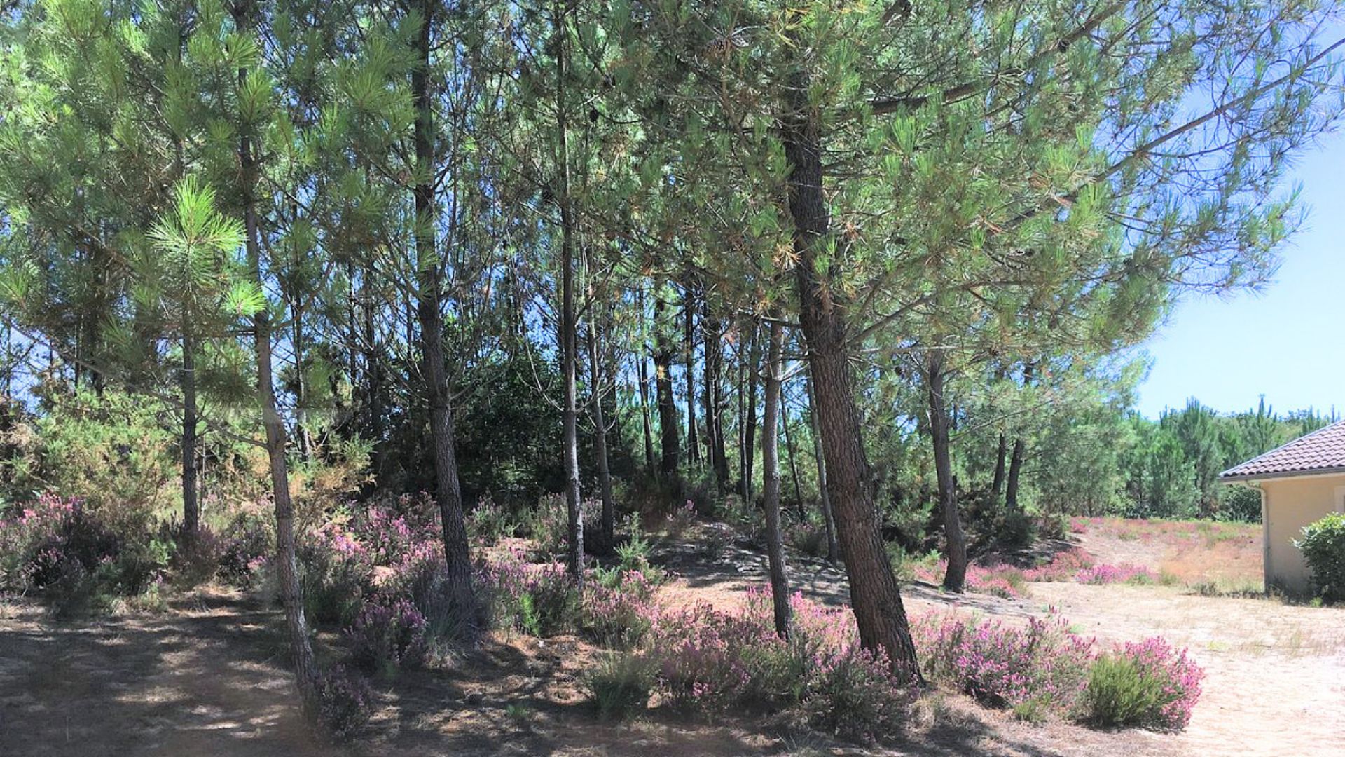 Au Ptit CreuxHôtel Au Ptit Creux Forêt
