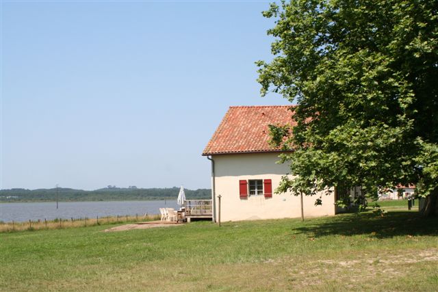 Réserve naturelle du Marais d'OrxRéserve naturelle du Marais d'Orx - Lacoste 1-Orx-OTILAS