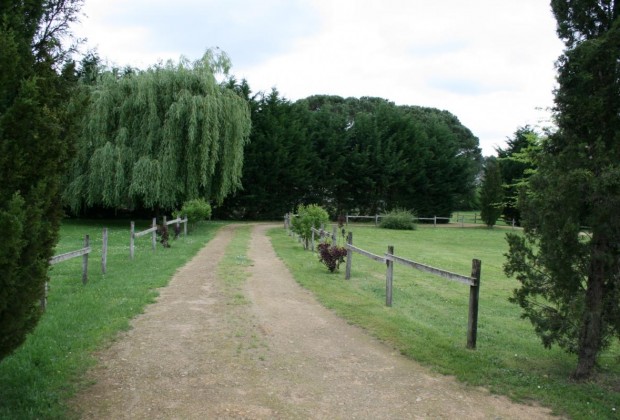 Gîtes de France LandesLilas Blanc - Gîtes de France à Brocas