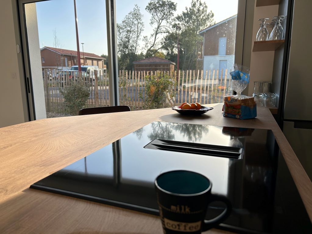 SAS VENFLAM107 Le chant des vagues_Messanges_Landes Attractive Sud