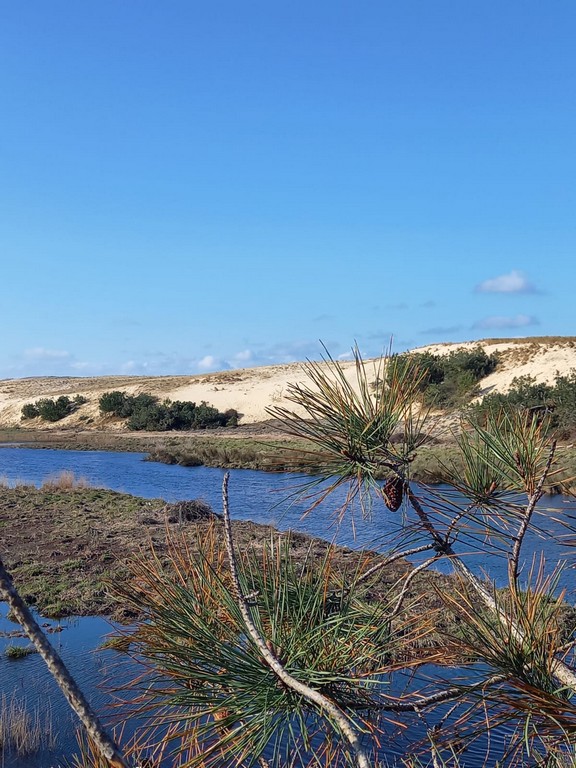 Morin111 Appartement Jades_Moliets_Landes Atlantique Sud