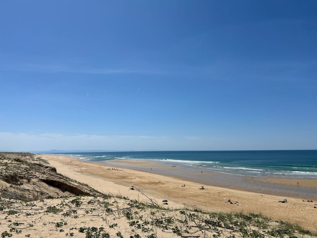 SAS VENFLAM113 Le chant des vagues_Messanges_Landes Attractive Sud