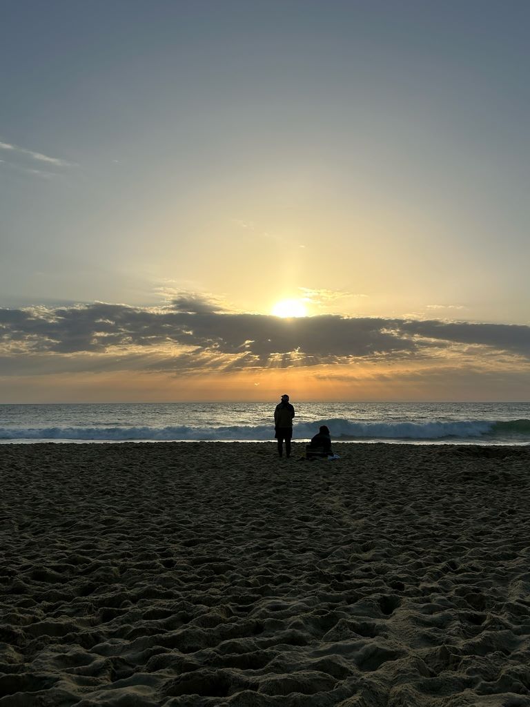 SAS VENFLAM115 Le chant des vagues_Messanges_Landes Attractive Sud