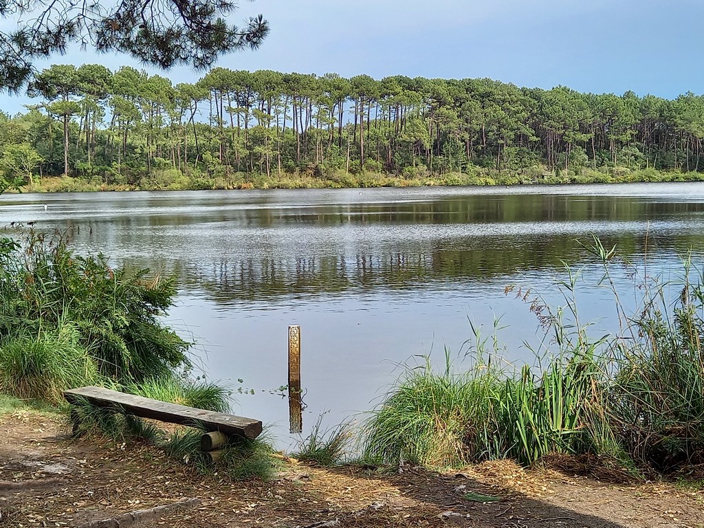 Cazaux116 Cazaux_Moliets_Landes Atlantique Sud