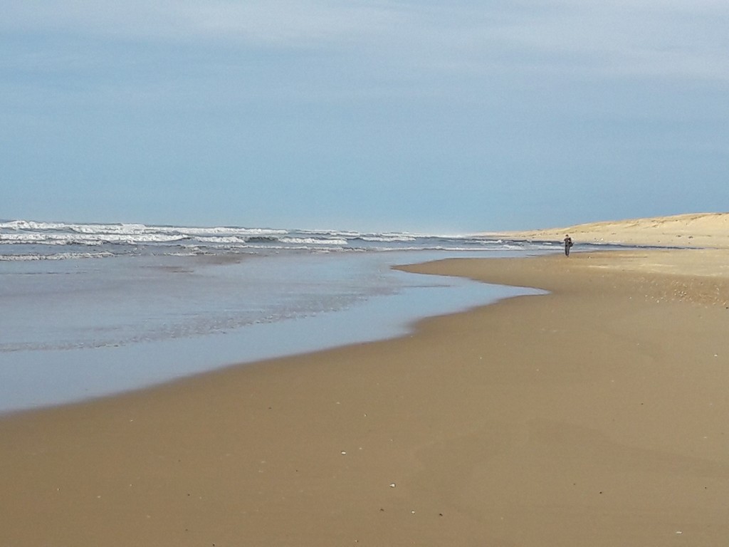 Cazaux117 Cazaux_Moliets_Landes Atlantique Sud