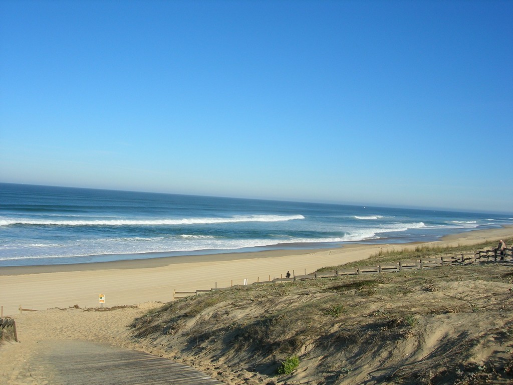 Crouzet124 Maison Agapanthe_Moliets_Landes Atlantique Sud