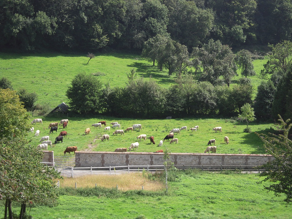 LE BOCAGE NORMAND