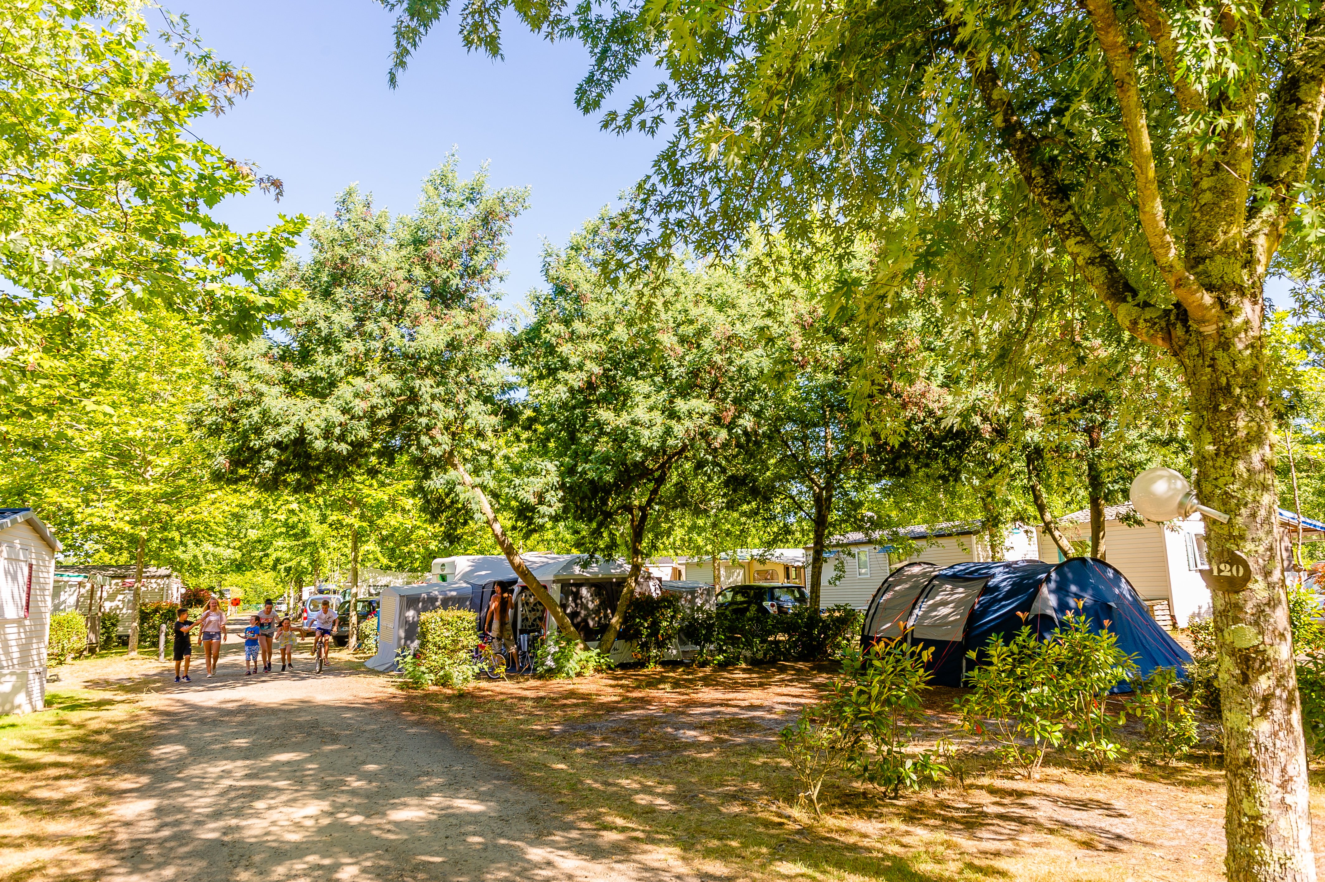 Maxime Pateaucamping la foret lahitte