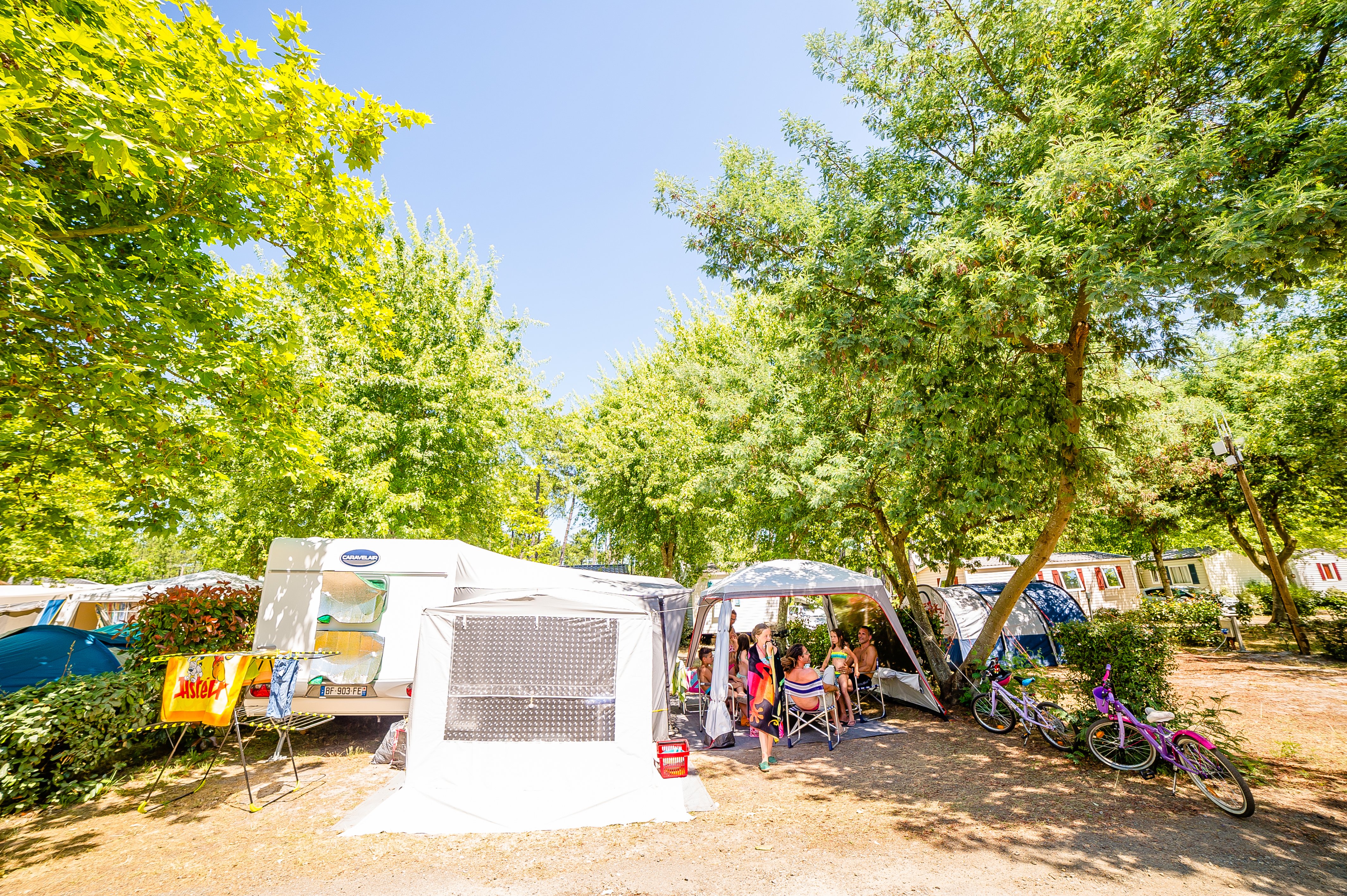 Maxime Pateaucamping la foret lahitte
