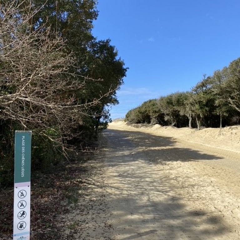 DelclauxEntre Dune et Golf_Moliets_Landes Atlantique Sud