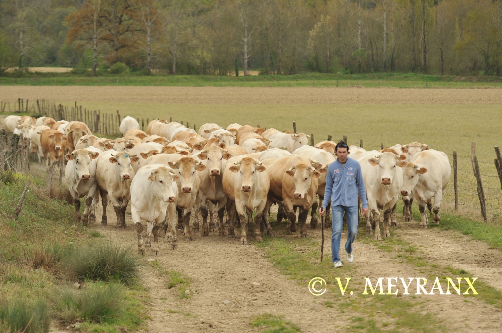 Vincent MeyranxFerme de Gardelly_4