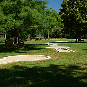 OTC Airemini golf