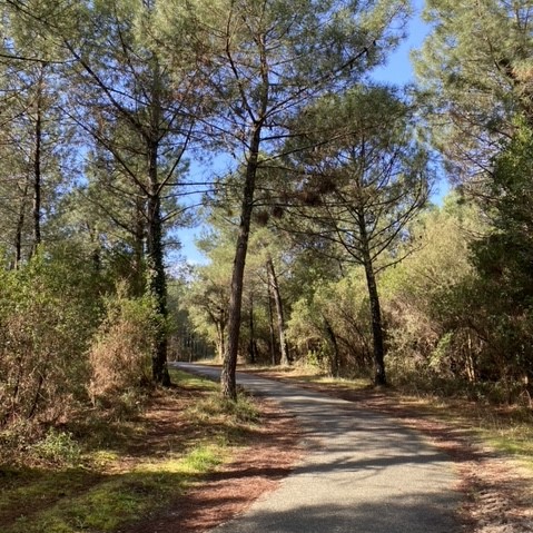 DelclauxEntre Dune et Golf_Moliets_Landes Atlantique Sud