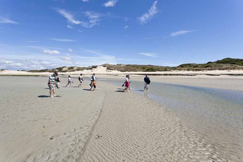 T_Houyel_CDT502011_Portbail_plage_promeneurs_1©T_Houyel_CDT50