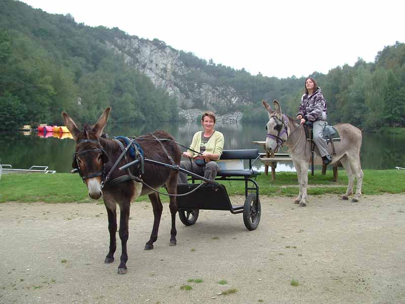 ©CTE Chevaux & Anes des Mares2012_Bolleville_CTE Chevaux & Anes des Mares_mont castre_TIS