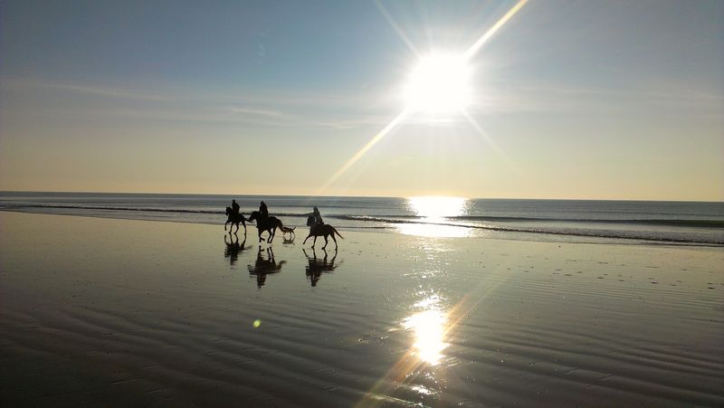 TPERNOTCentre Equestre d'Hauteville-sur-Mer_2013-02-19-17.11.55-3 [800x600]