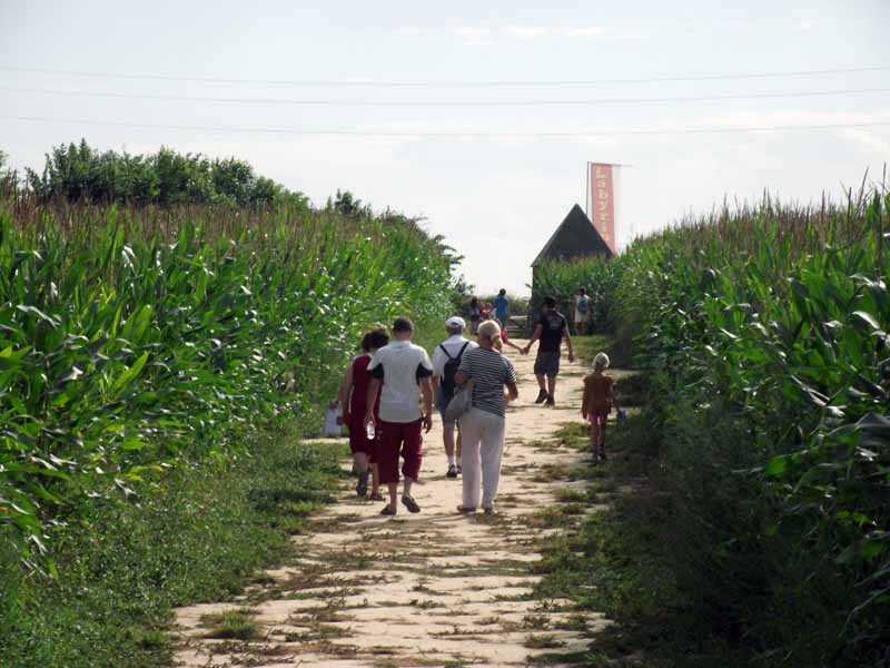 PROPRIETAIRE2013_Bricqueville_Labyrinthe_8161