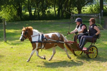 CDESMOTTES2013_Centre_Equestre_La_Chapelle_Cécelin@C.Desmottes