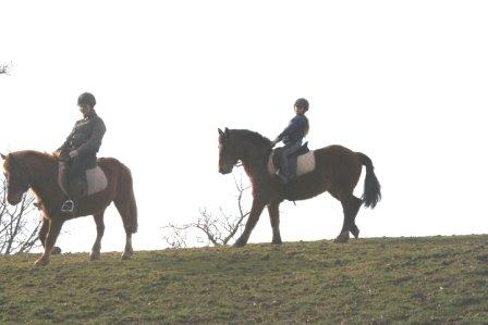 CDESMOTTES2013_Centre_Equestre_La_Chapelle_Cécelin2@C.Desmottes
