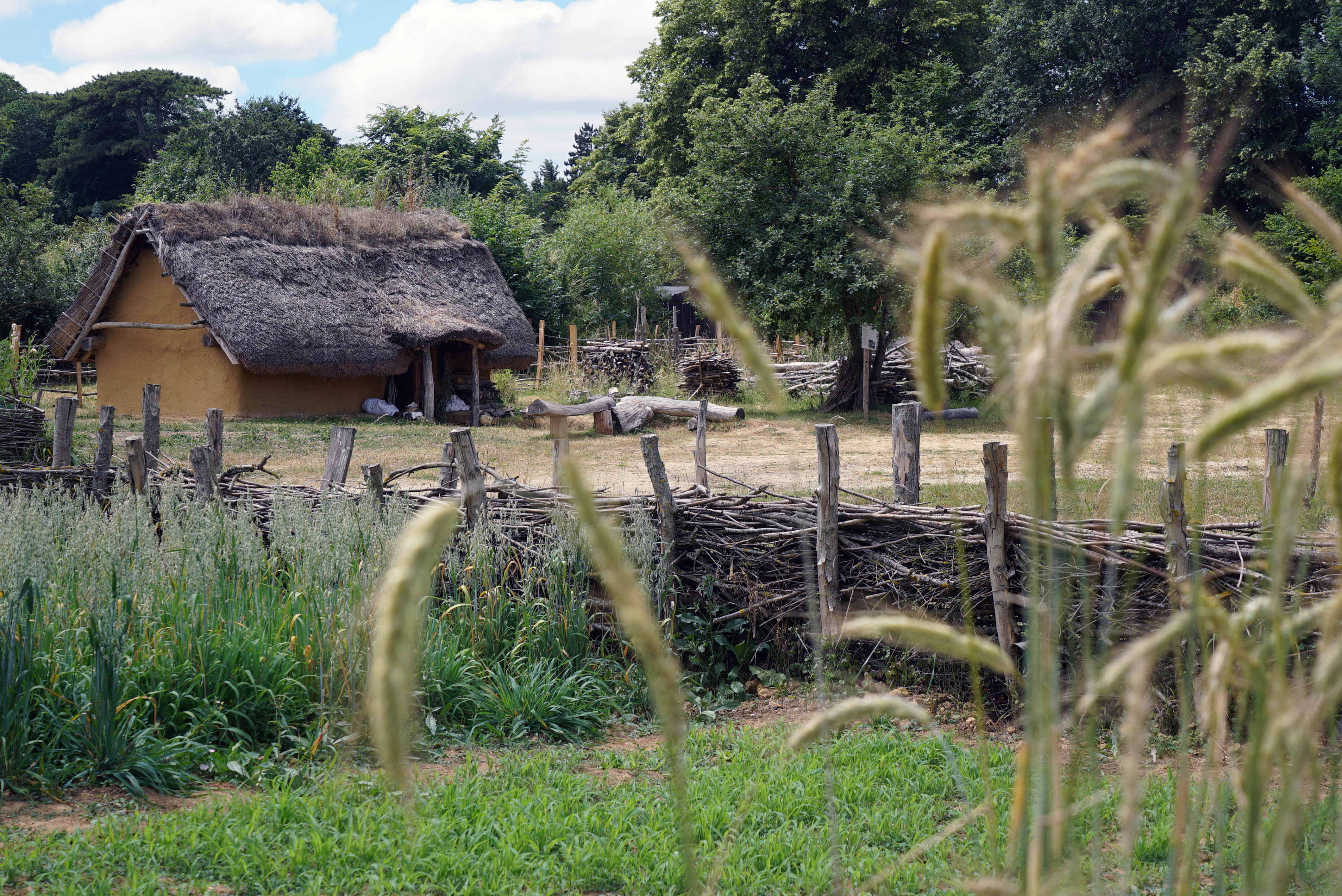 ©Viking CenterLa petite ferme et la haie en plessage