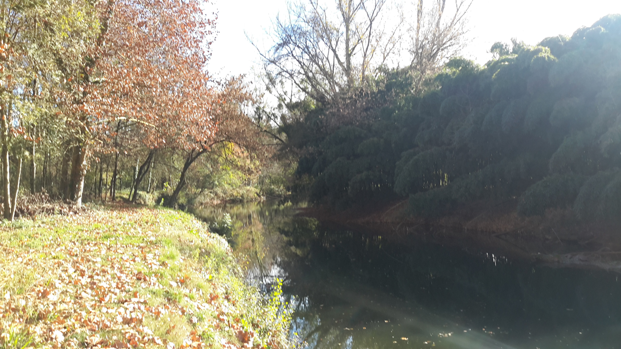 OT des LuysBalade le long du Luy