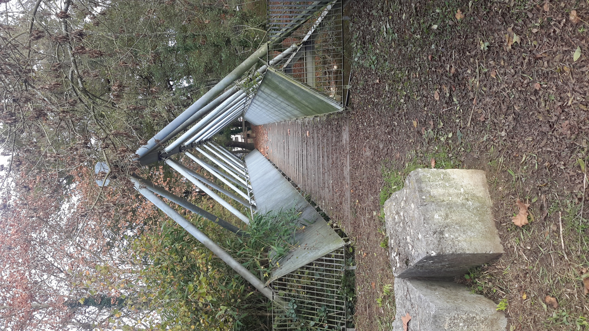Ot des LuysLa passerelle