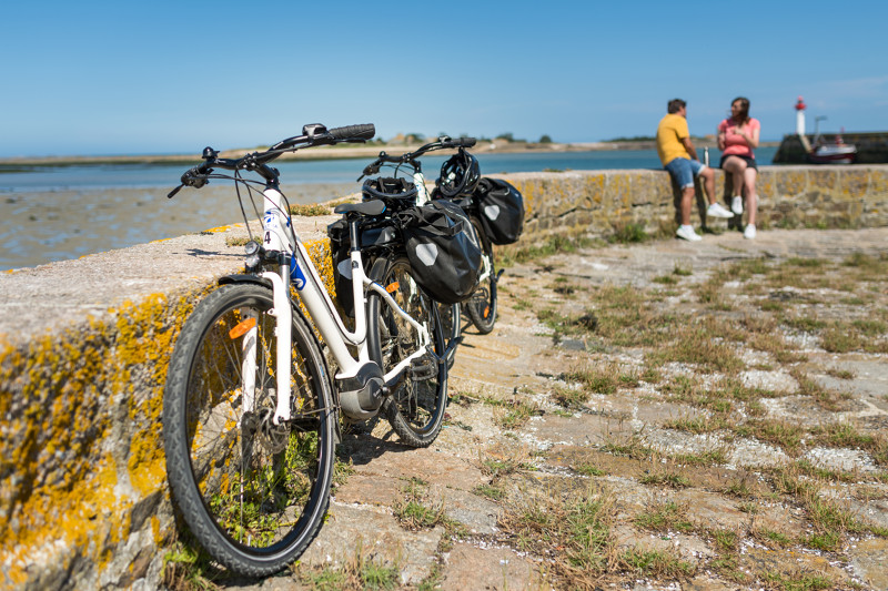 Emmanuel_Berthier_pour_l_EV4_Latitude_Manche2019_Saint_Vaast_la_Hougue_velocyclistes_EV4_2219-Emmanuel_Berthier_pour_l_EV4_Latitude_Manche.jpg-800px