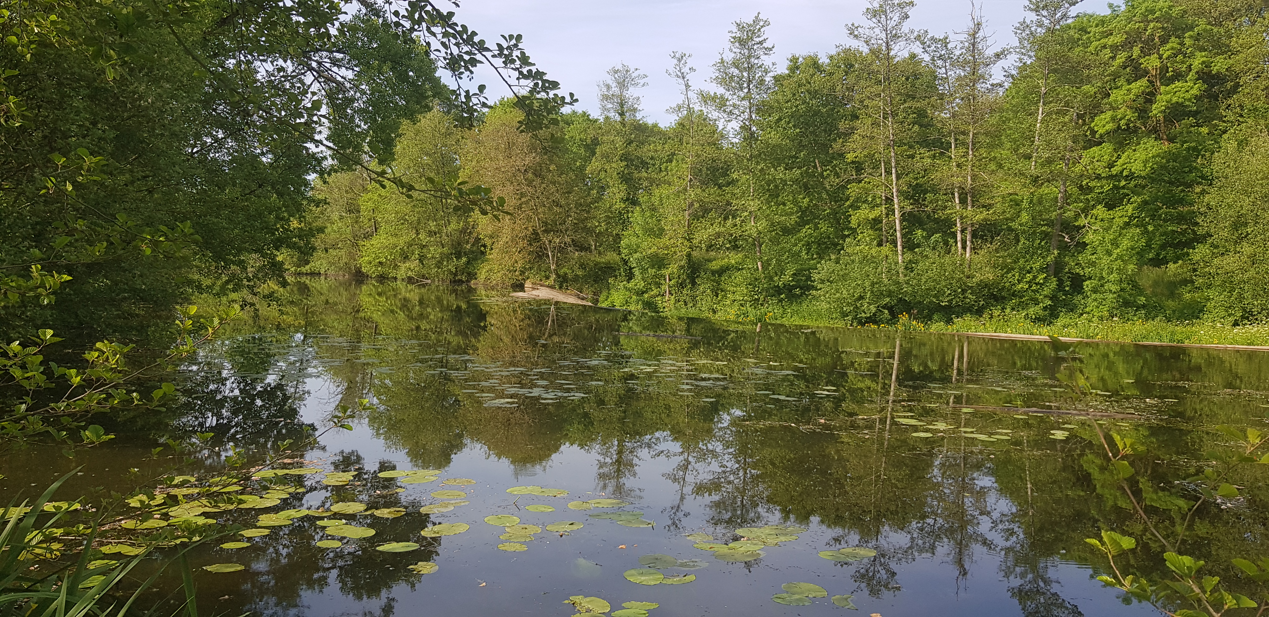 CCAVT20190523-095350