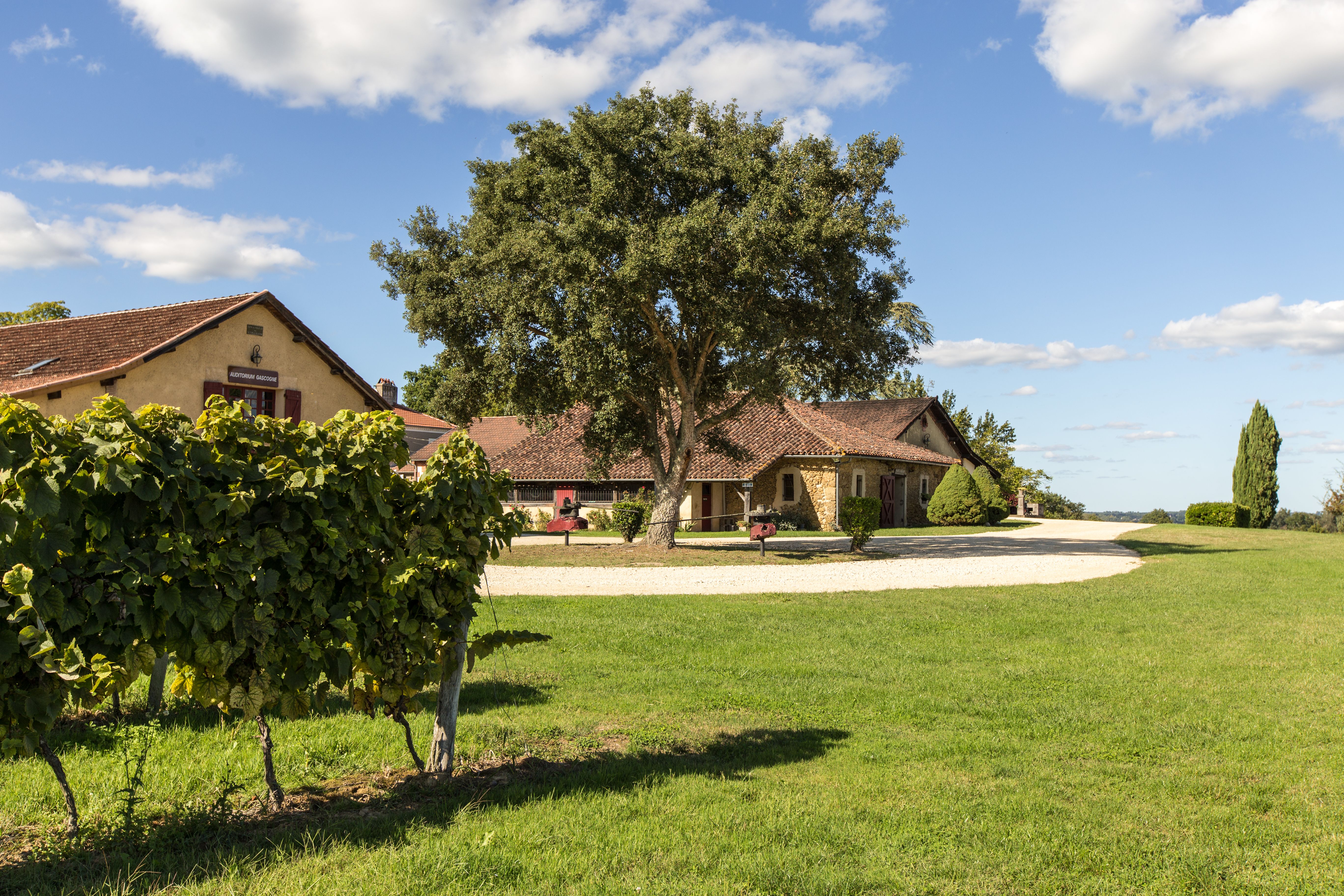 ©Écomusée de l'Armagnac2021 - LABA - Écomusée de l'Armagnac - Extérieurs - ©Écomusée de l'Armagnac