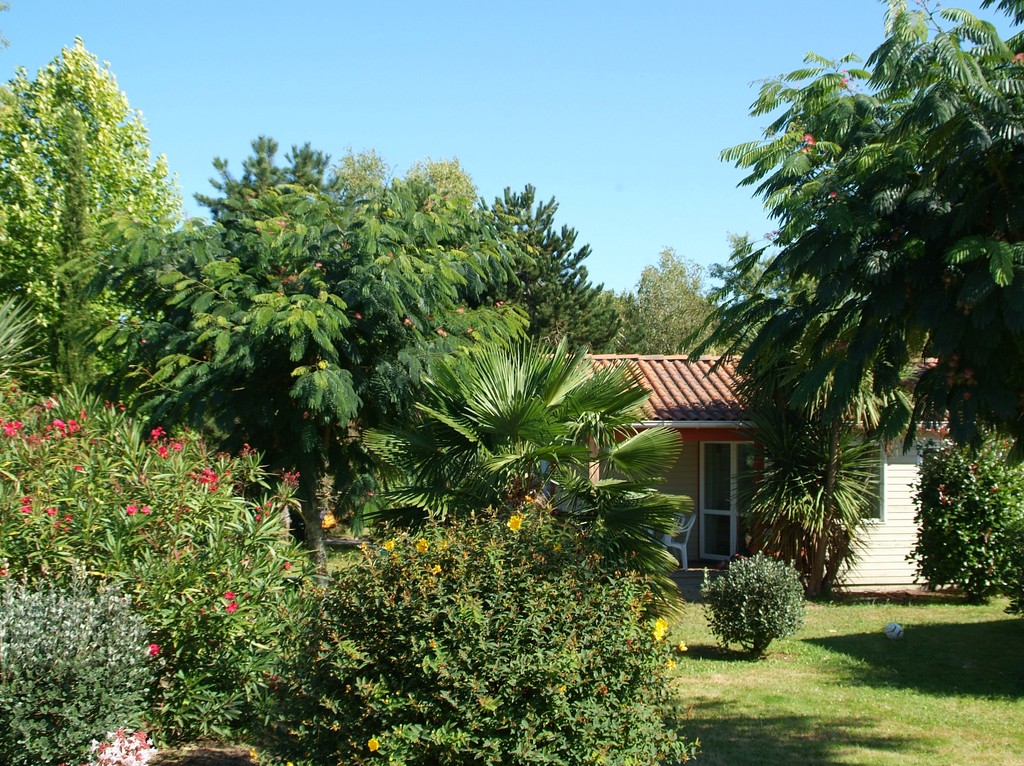 Camping Lou Ptit Poun 20212021-TS petit poun (2)