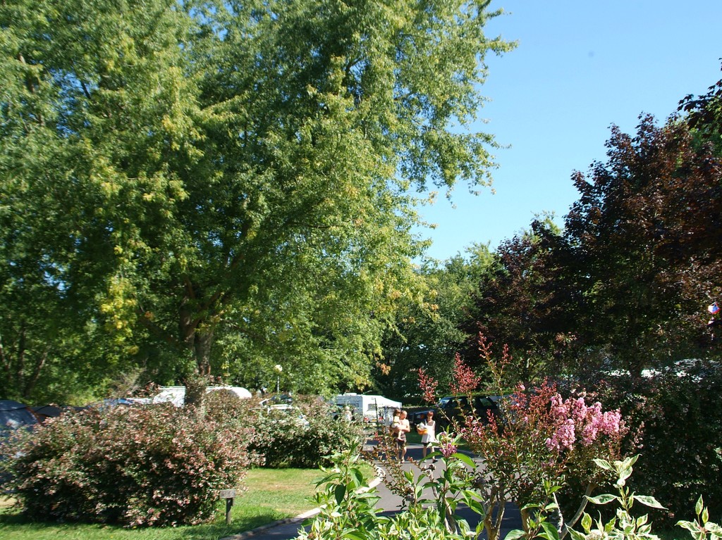 Camping Lou Ptit Poun 20212021-TS petit poun (4)