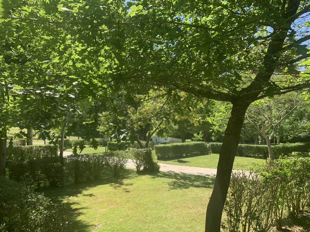 Camping Ruisseau St andre de Seignanx2022- TS Ruisseau emplacements