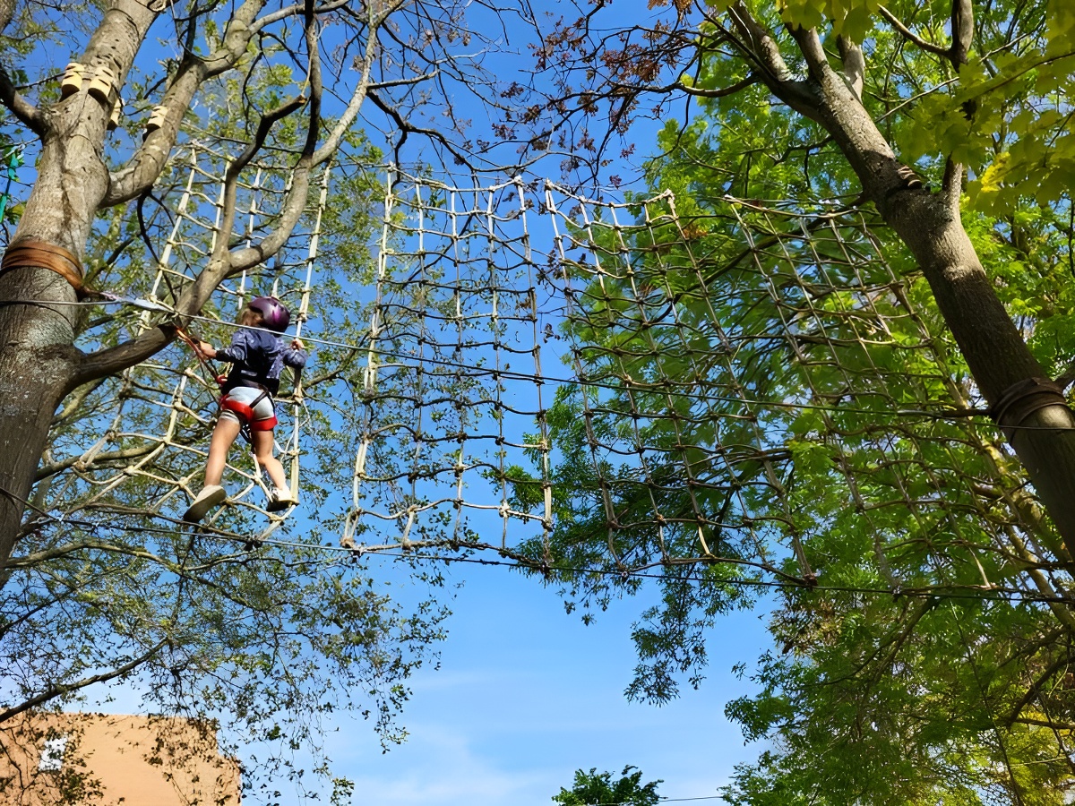 Cestac SarlParcours accrobranche "O' fil des branches"