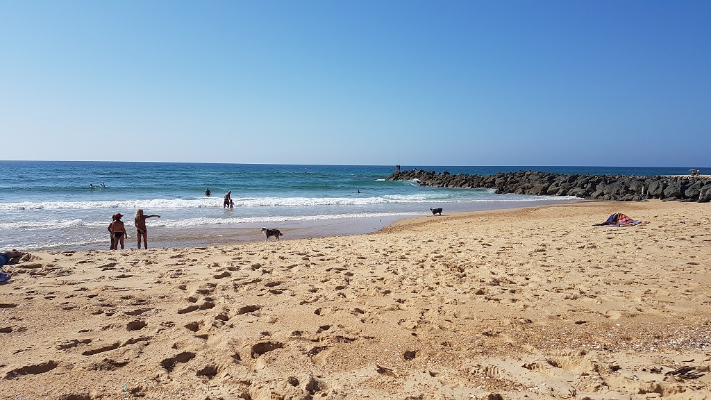 COUSINvieux_boucau_landes_atlantique_sud