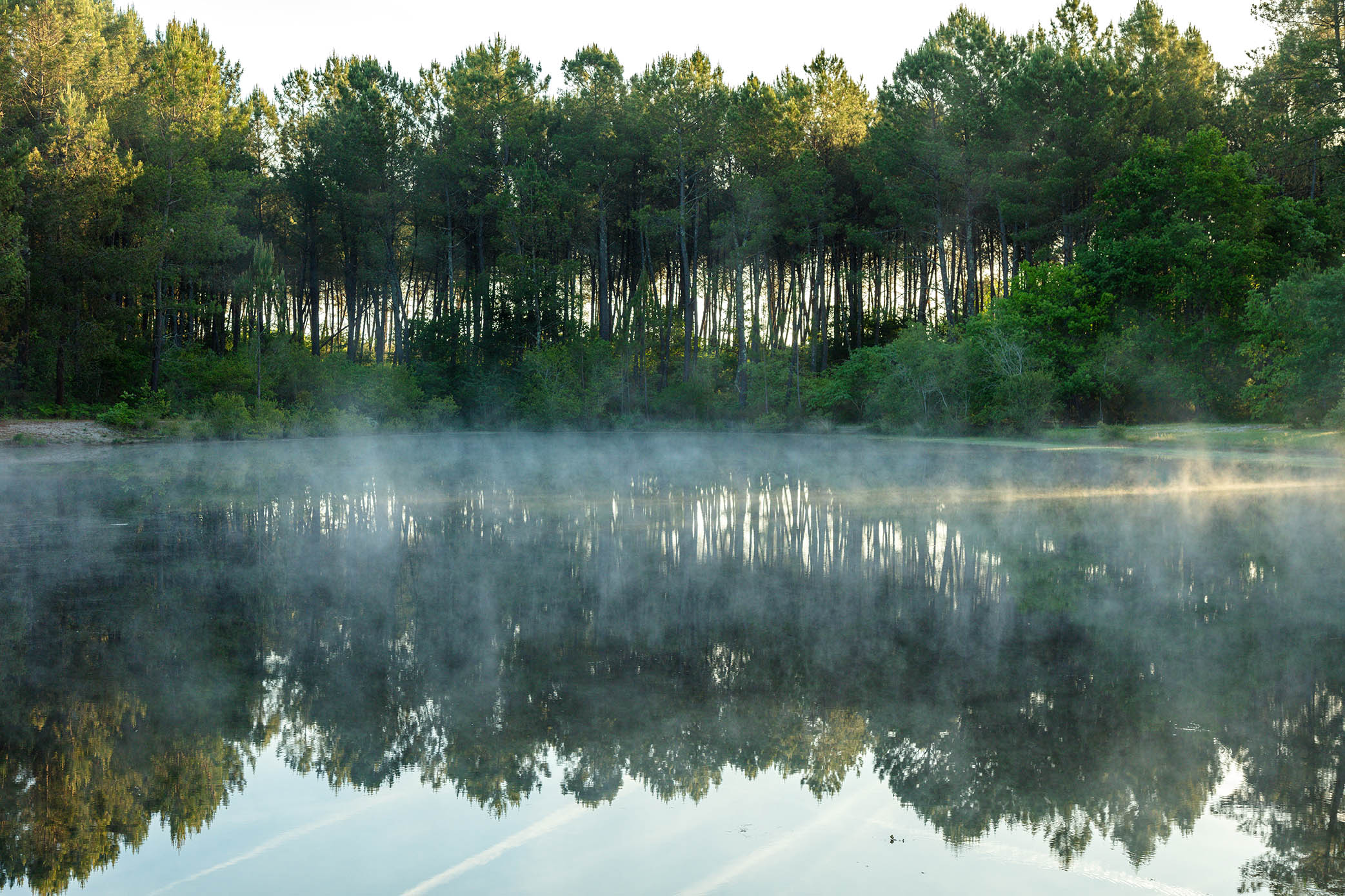 ©Arnaud Späni2024 - ARUE - Lagunes de Nabias