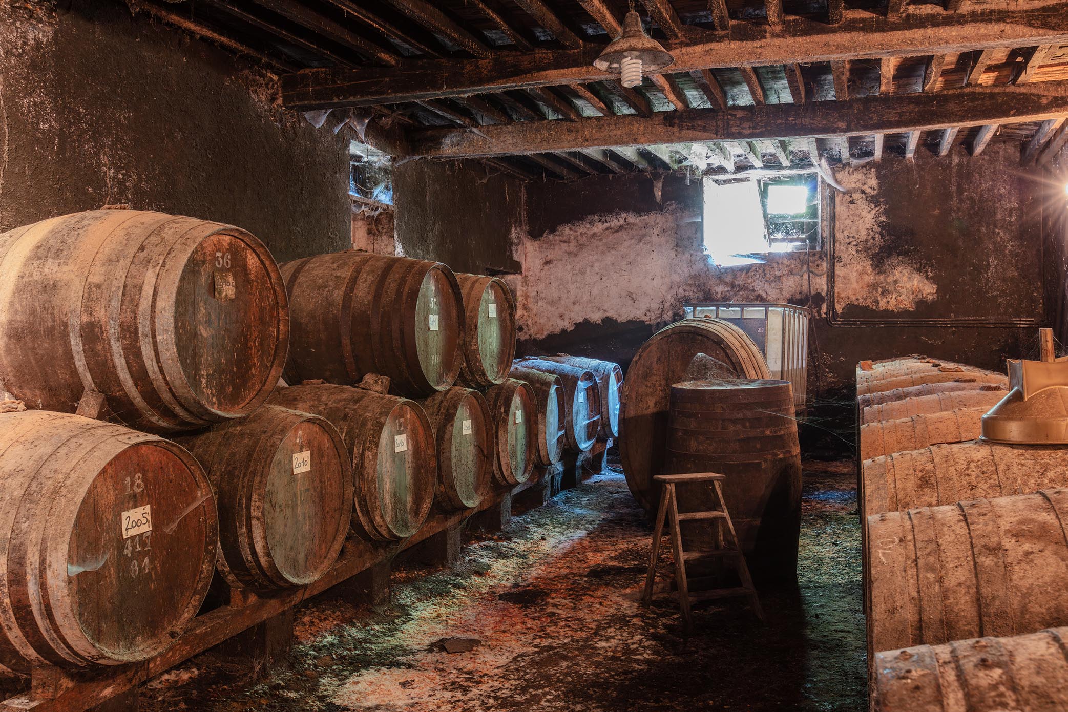 ©Arnaud Späni2024 - LABA - Château du Prada chai