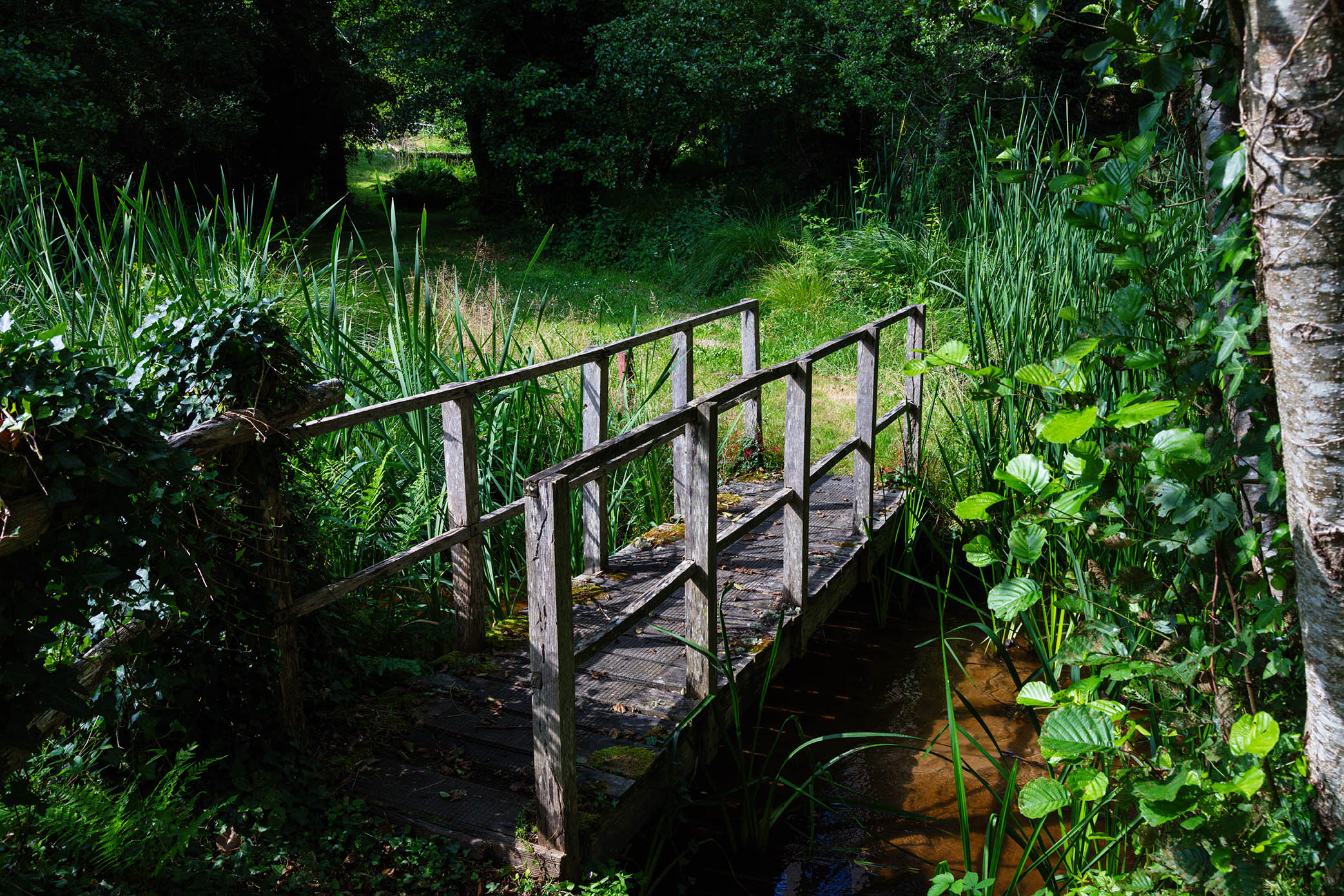 ©Arnaud Späni2024 - STFOY - Etang de Sainte-Foy