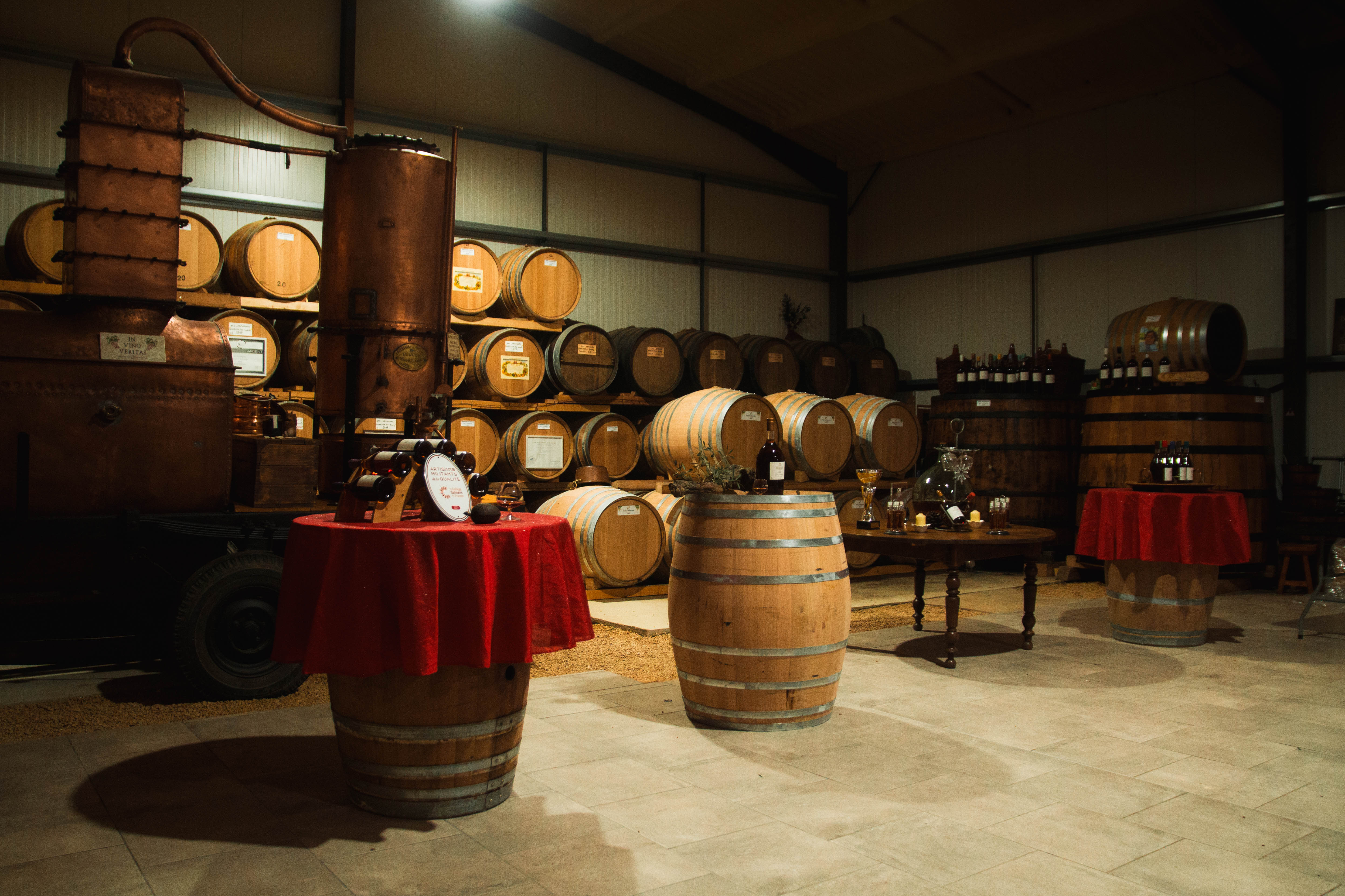 ©Domaine du Berdet2025 - BOUR - Domaine de Berdet - Chai - ©Domaine du Berdet