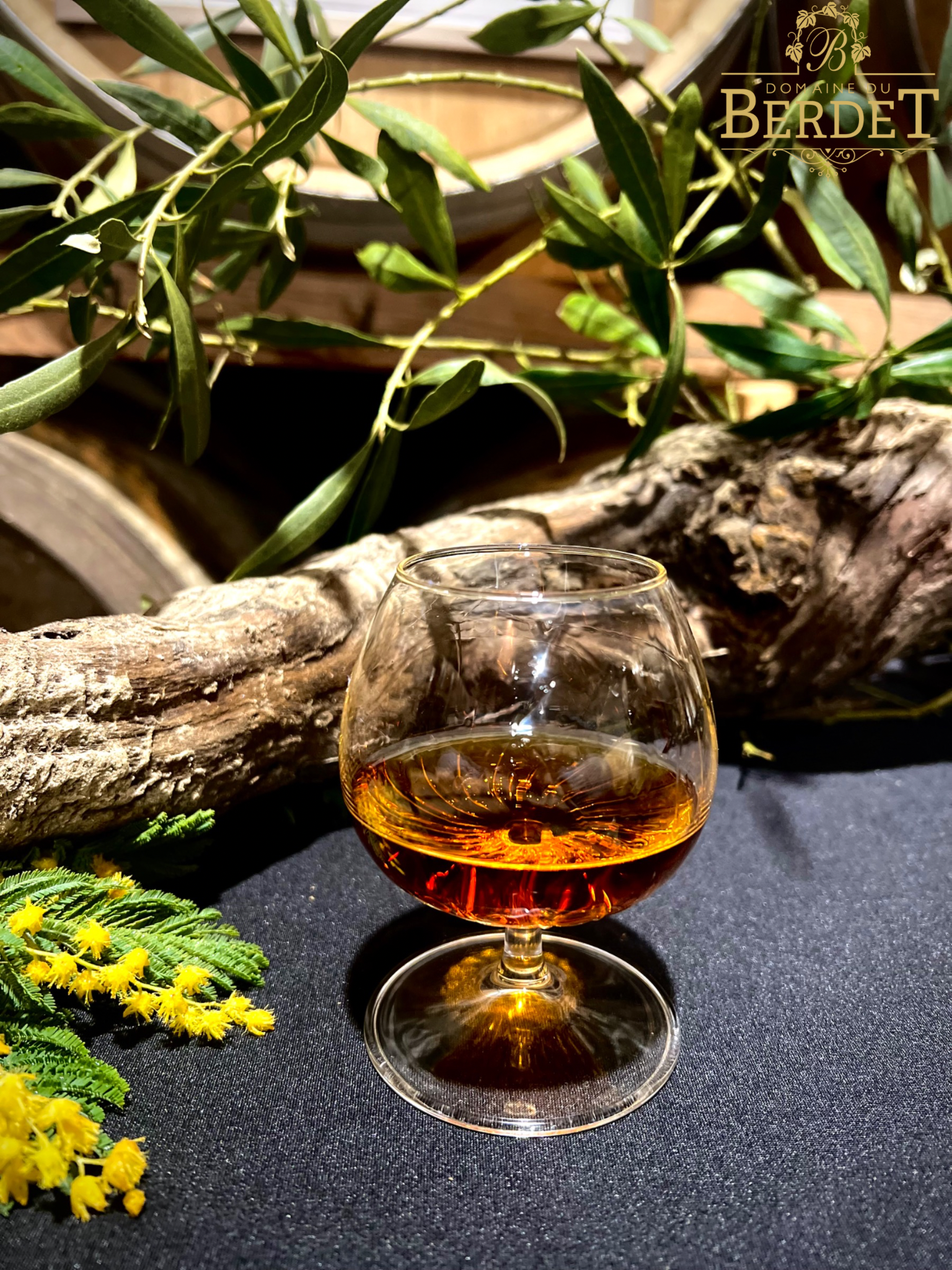 ©Domaine du Berdet2025 - BOUR - Domaine de Berdet - Verre d'Armagnac - ©Domaine du Berdet (2)
