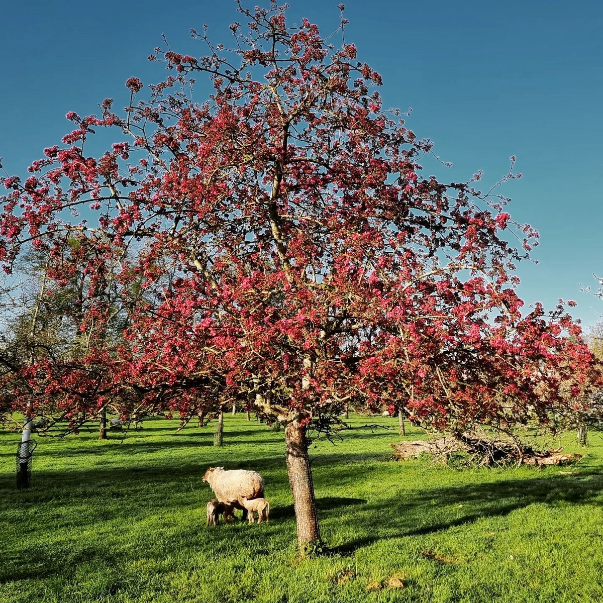 Domaine de OuezyDomaine de Ouezy