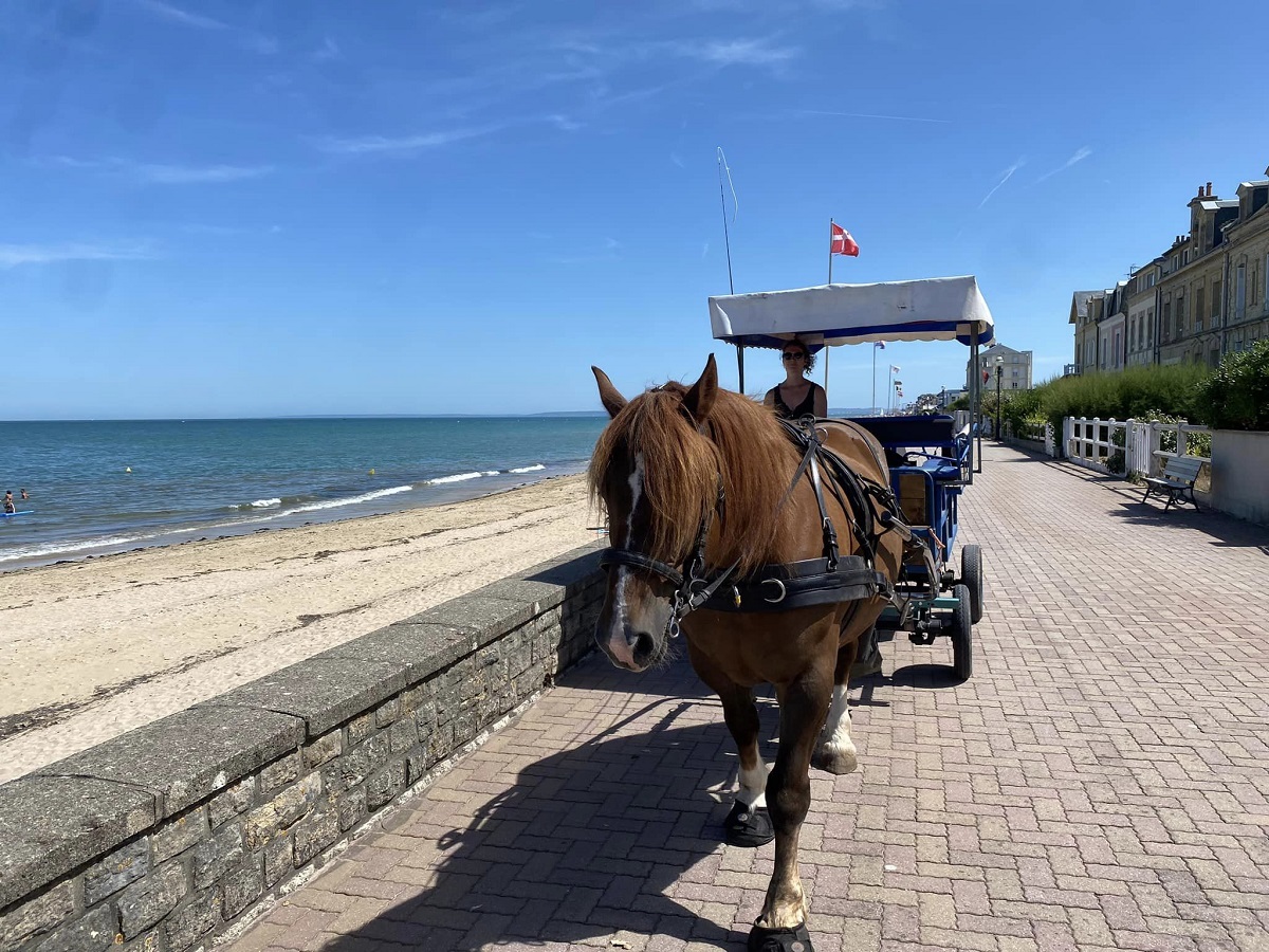 DELAUNOYbalade-caleche-saint-aubin-sur-mer