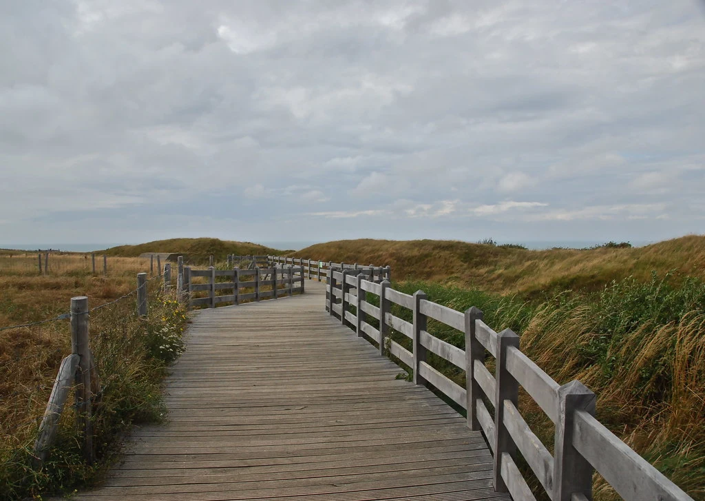 Le chemin en bois (Cap Gris Nez -France)