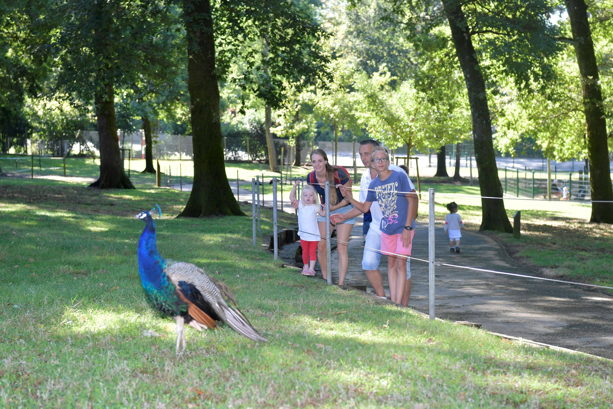 Non communiquéParc animalier de nahuques©Gilles Arroyo (105).JPG_5