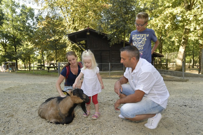 Non communiquéParc animalier de nahuques©Gilles Arroyo (127).JPG_1