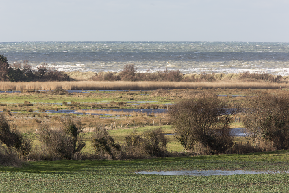 conservatoire-du-littoral-copyright-Arnaud-Guerin-LithosphereMarais-de-Ver-sur-Mer-copyright-Arnaud-Guerin-Lithosphere
